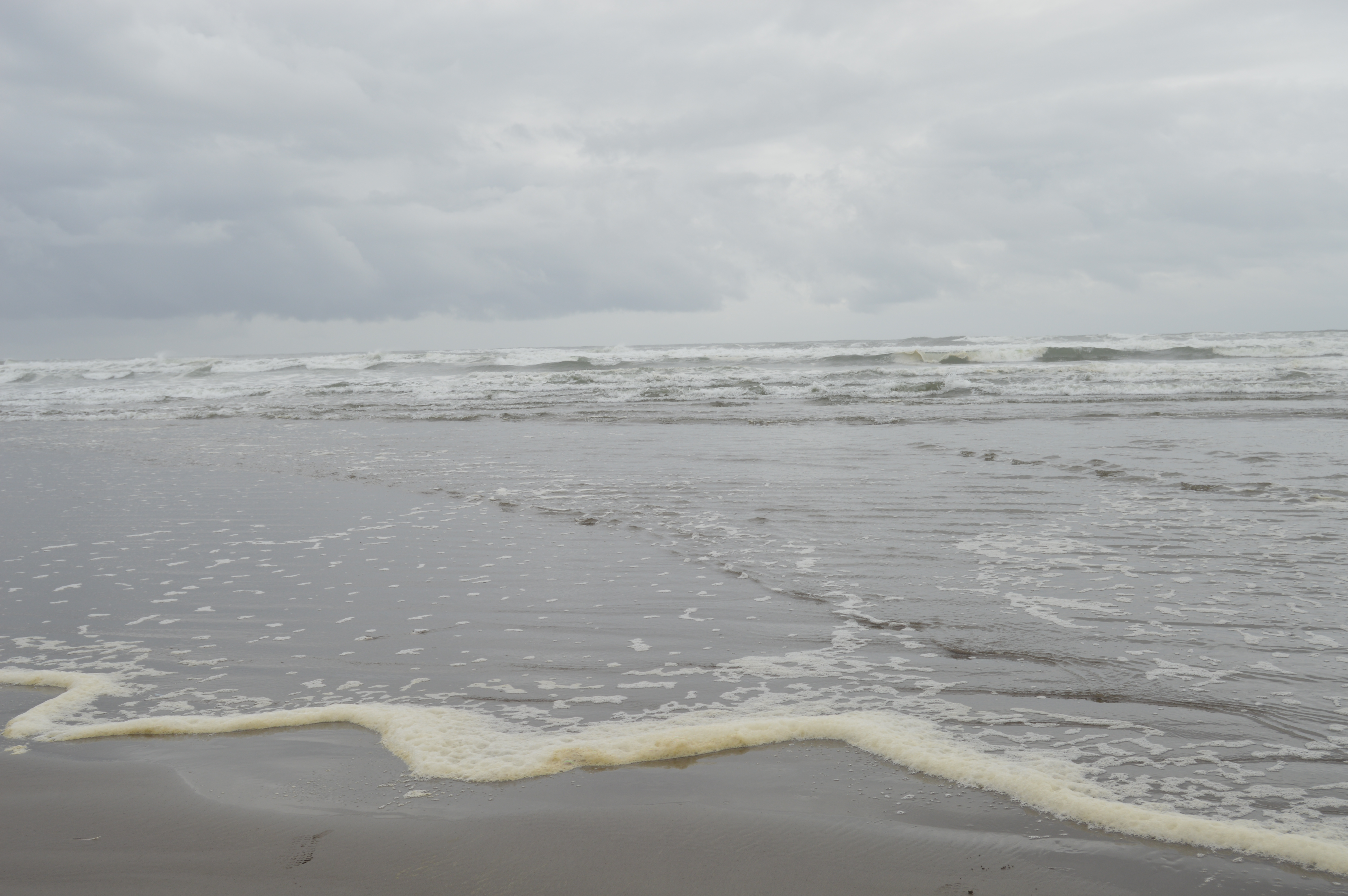 Pacific Northwest Coastline